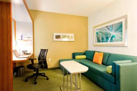 SpringHill Suites by Marriott Bellingham - 27