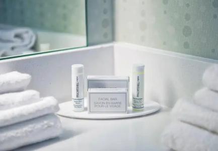 SpringHill Suites by Marriott Bellingham - 14