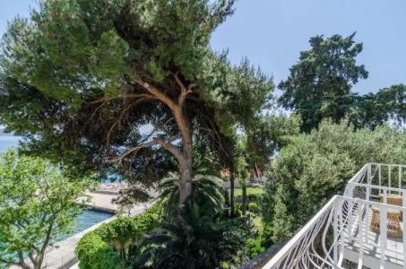 Guest House Daniela - 61