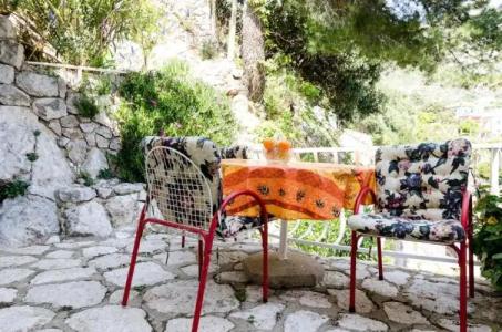 Guest House Daniela - 21