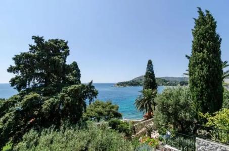 Guest House Daniela - 120