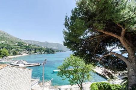 Guest House Daniela - 62