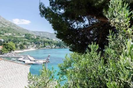 Guest House Daniela - 102