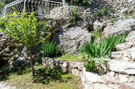 Guest House Daniela - 31