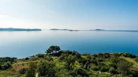 Guest House Fontana - 39