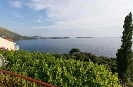 Guest House Fontana - 138