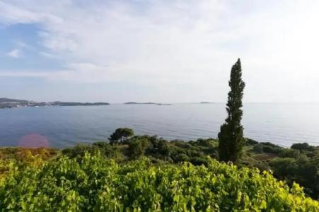 Guest House Fontana - 134