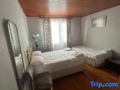 VENİ VİDİ DORMİ - 51