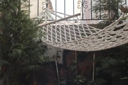 VENİ VİDİ DORMİ - 50