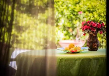 Casa Papiro B&B - 51