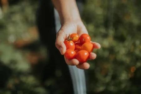 Agrotourism Kalpic - 19