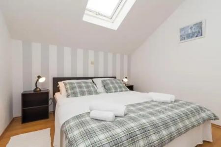 Apartments Vojin - 205