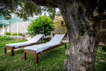 Guesthouse Anica - 51