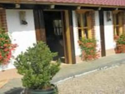 Bed & Breakfast Helena - 44