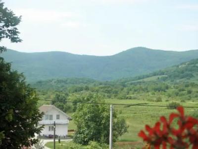 Bed & Breakfast Helena - 88