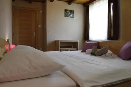 Guest house Jandric - 23