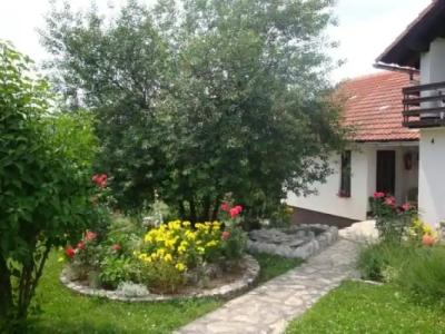 Guest house Jandric - 3