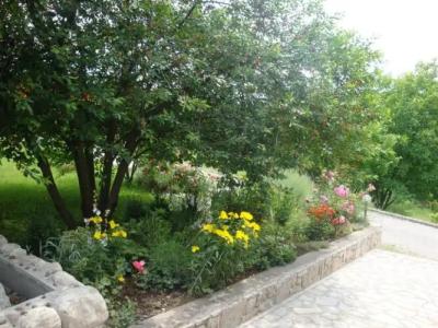 Guest house Jandric - 10