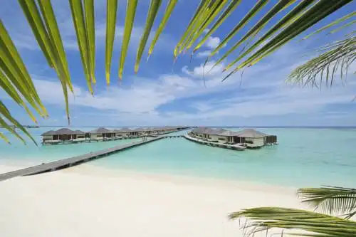 Paradise Island Resort & Spa - 0