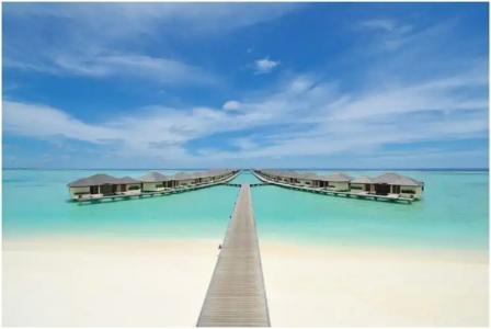 Paradise Island Resort & Spa - 156
