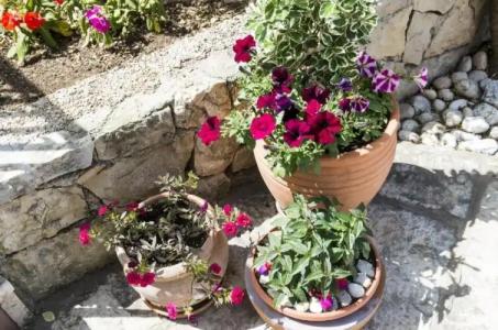 Cina Apartments - 103