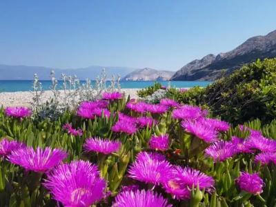 Baska Beach Apartments - 3