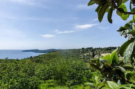 Guesthouse Moretic - 28