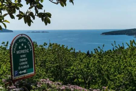 Guesthouse Moretic - 16