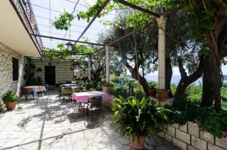 Guesthouse Moretic - 24