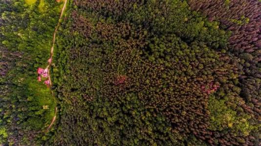 Guest House Verbena - 22