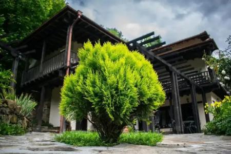 Guest House Verbena - 15