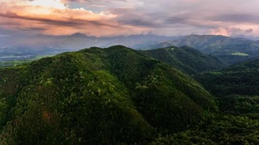 Guest House Verbena - 21