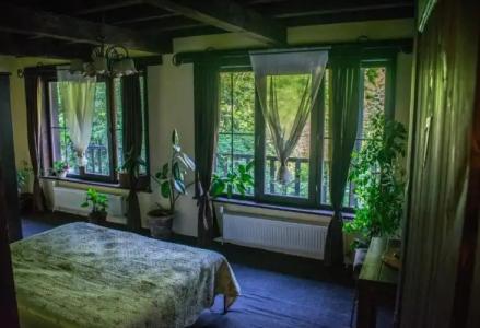 Guest House Verbena - 6