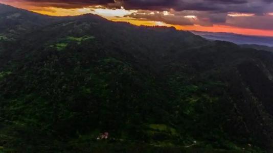 Guest House Verbena - 23