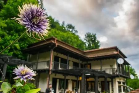 Guest House Verbena - 16