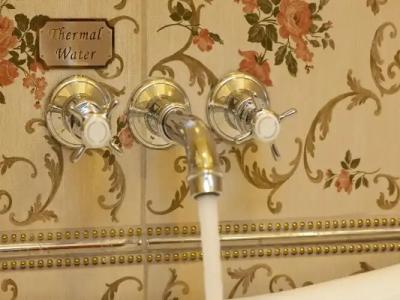 Limak Yalova Thermal Boutique - 77