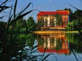 Run of House
