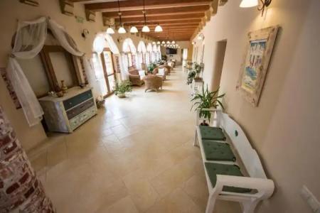 Platan Garden Rooms & Restaurant - 10