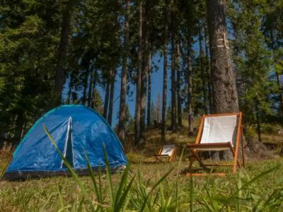 Green Life Family Apartments Pamporovo - 20