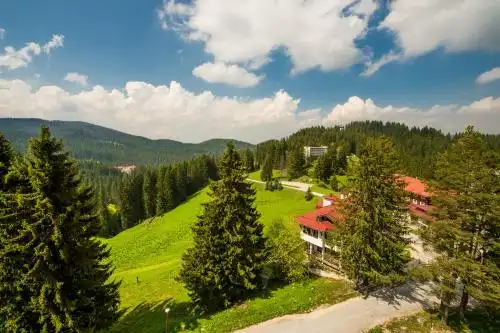 Snezhanka Pamporovo - Half board - 34