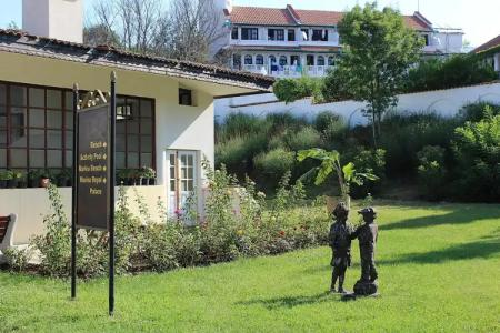 Duni Royal Pelikan - All Inclusive - 0