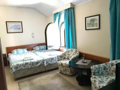 Garni Villa Aleksandar - 2