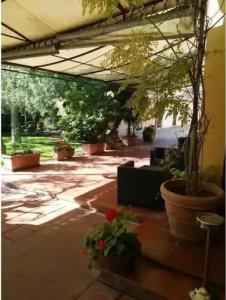 Albergo Conca D'Oro - 9