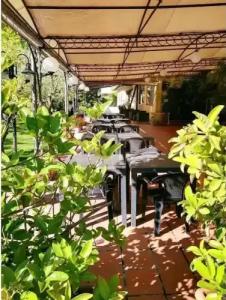 Albergo Conca D'Oro - 8