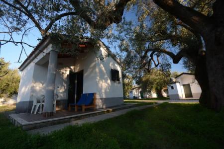 Villaggio Turistico Elea - 19