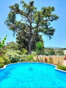 Antico Casale Fabrizi - 12