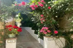 Villa Striano Capri - Guest House - Rooms Garden & Art, Capri Village