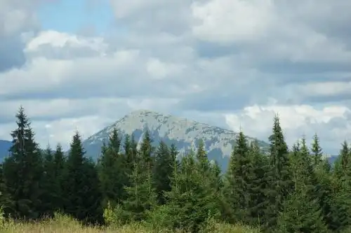 Eco Sadyba Familia - 48