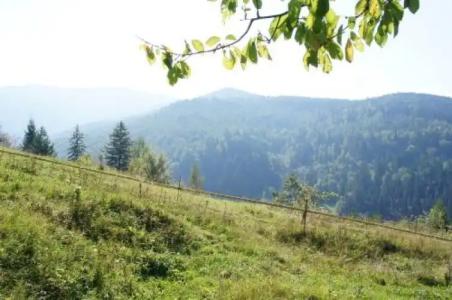 Eco Sadyba Familia - 23