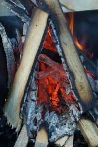 Eco Sadyba Familia - 15